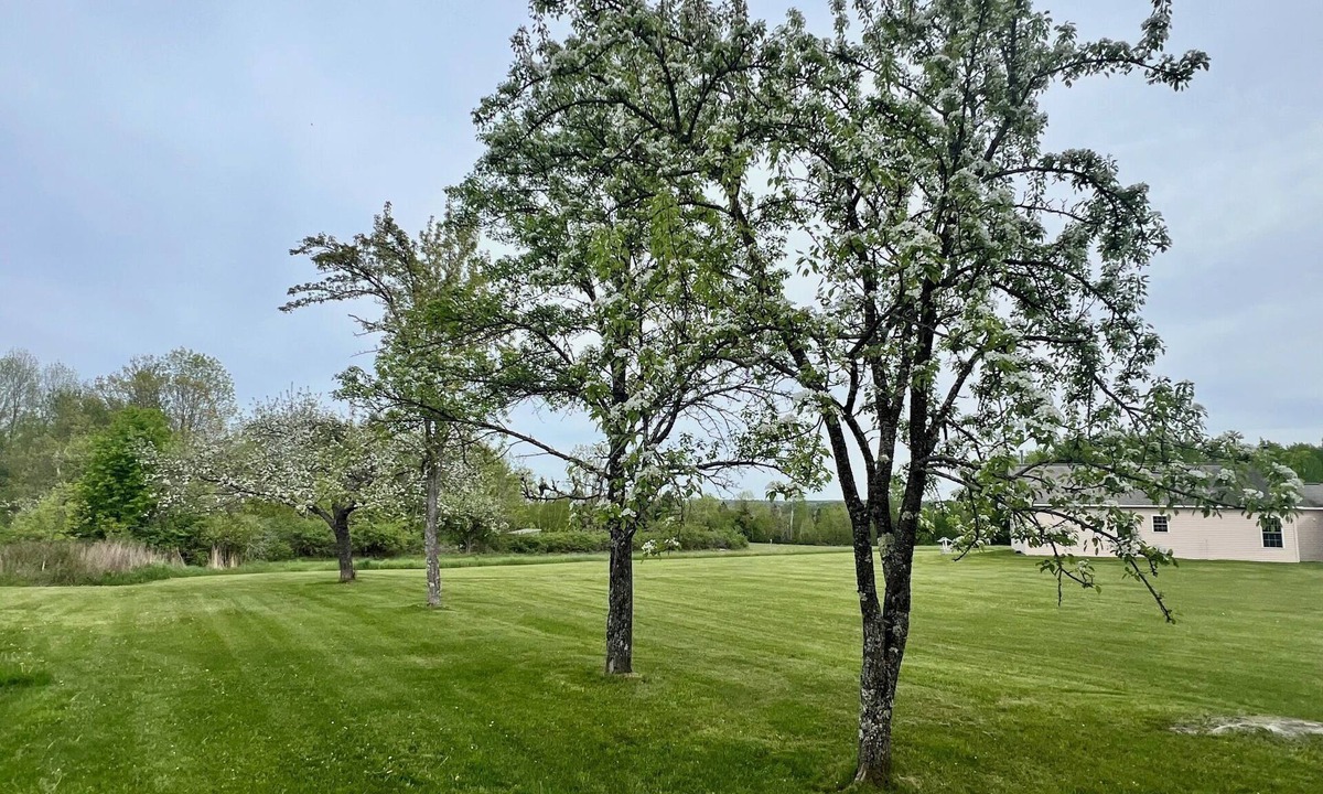 Newport House | “Time to Unwind” is the perfect place to recharge and reconnect.
