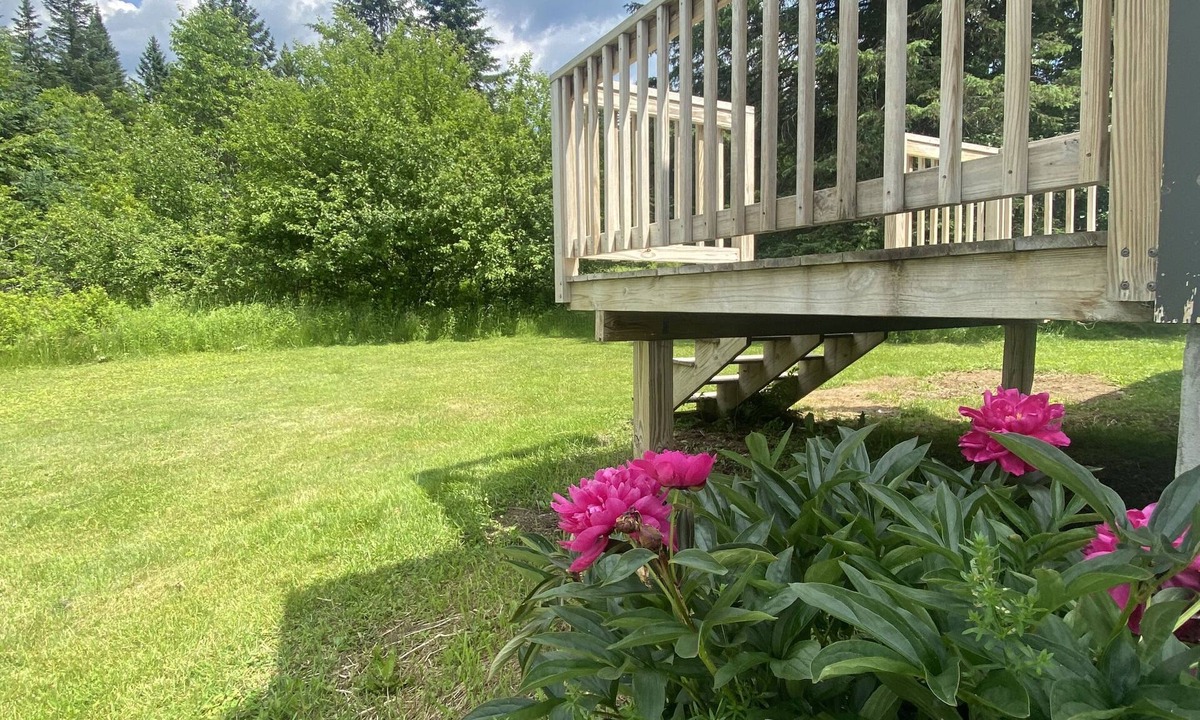 East Haven House | Trailside house on the river. Perfect for mountain biking , skiing, snowmobile.