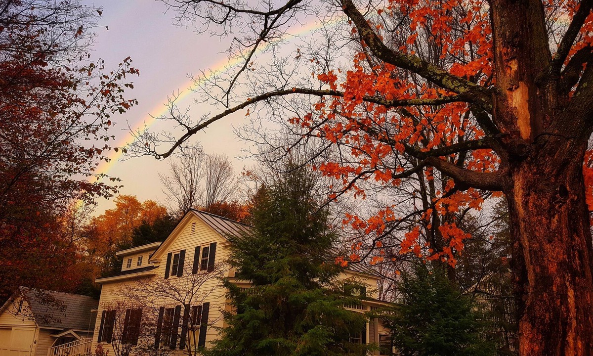 Cambridge House | Village Retreat- walking distance from downtown