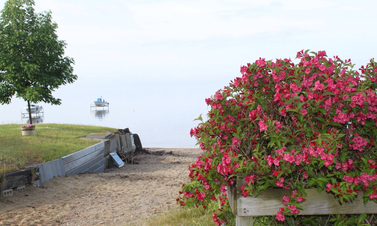 Malletts Bay Cabin | Welcoming 3-bedroom cottage in charming Colchester for your getaway