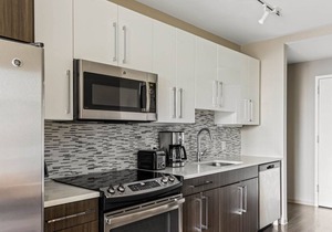 Airy North Station 2br w/W/D & Gym, nr TD Garden, by Blueground