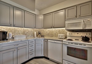 Beautiful Renovated 1BR/1BA Condo Next to Mountain 3C13