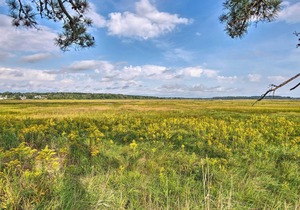 Charming Pine Point Cottage - 2 Blocks to Ocean!