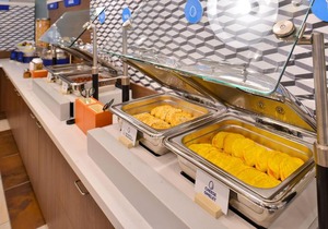 Holiday Inn Express Hotel & Suites King of Prussia