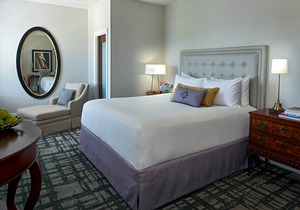 Hotel Viking