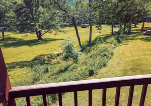 Rough Cut Lodge - Hickory Cabin in Gaines