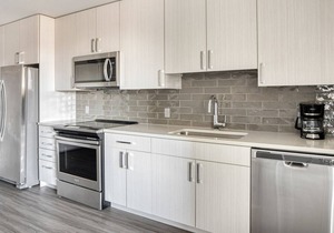 Sunny Five Points 1BR w/ W/D, Gym & Roof Lounge, near RiNo, by Blueground in Denver