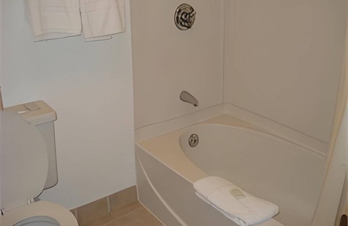 Newport Hotel | 21 m² Motel ∙ 4 guests