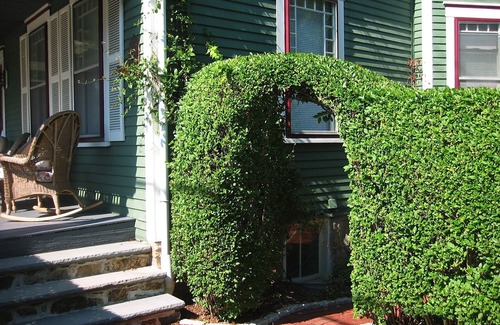 The Point Condo | Beautiful victorian w/big garden, Tesla/EV charger, 2 blocks from water