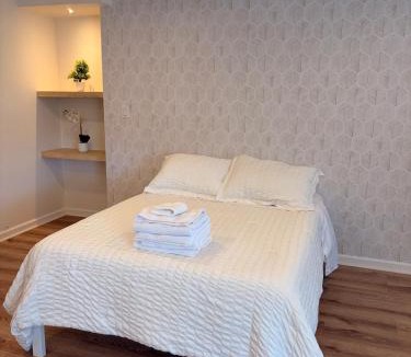 Stamford Apartment | 1 Bedroom Apartment in DWTN Stamford w Laundry