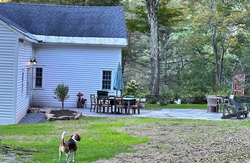 Harpersfield House | 1790 SugarMaple Farmhouse: Sauna/115 Acres