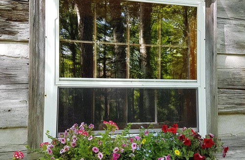 Ashburn Cabin | 1820 Log Cabin on Private 300 acres. Mtn biking, Hiking, x-country Skiing