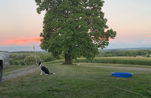 Canandaigua House | 1920's Farmhouse with antique charm and quiet comfort. Wineries, skiing, more!