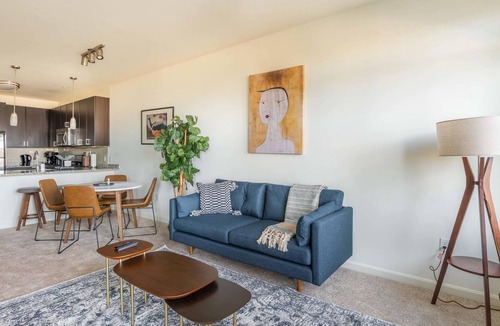 Assembly Square Apartment | 1BR Apartment in Somerville + Amenities