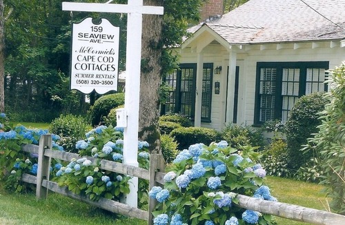 South Yarmouth Cottage | 2 Bedroom Cottage in South Yarmouth - Walk 1,000' to the Beach