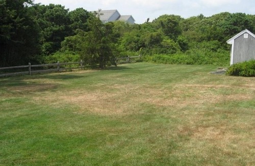 South Yarmouth House | 2026 openings - Family Friendly S Yarmouth Rental - oceanview home.