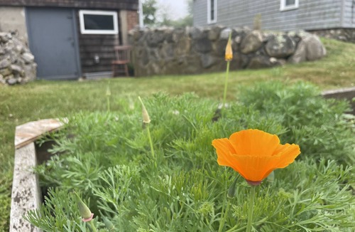 Stonington Cottage | 97 Year Old Fishmongers Time Capsule