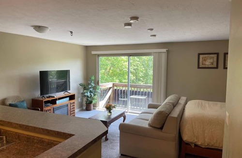 Gilford Condo | Adorable Studio - close to everything!