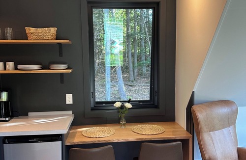 Greenfield Center Cabin | Aframe tiny home in the forest