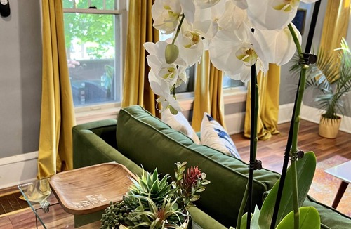 Highland Square Apartment | Apartment with a boho, relaxed and soulful vibe in the heart of Highland Square.
