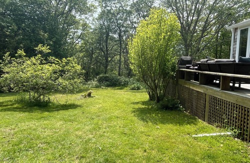 Aquinnah Cottage | Aquinnah cottage private,serene, easy beach access ,sleeps 4