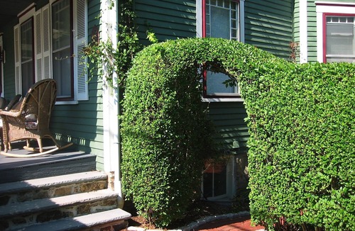 The Point Condo | Beautiful victorian w/big garden, Tesla/EV charger, 2 blocks from water