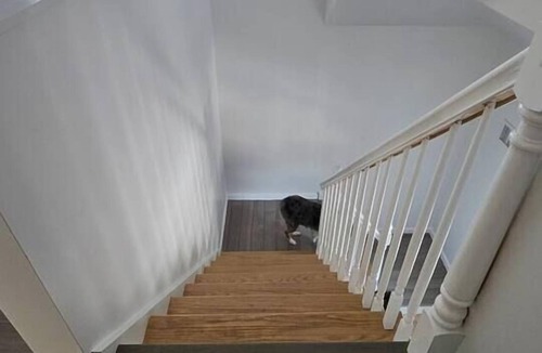 North New Hyde Park House | Beautifully Renovated 3-Bedroom Guest Stay