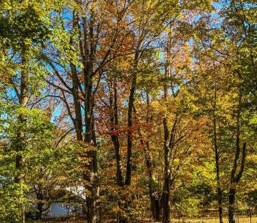 Poultney Bed & Breakfast | Bentley House Bed and Breakfast