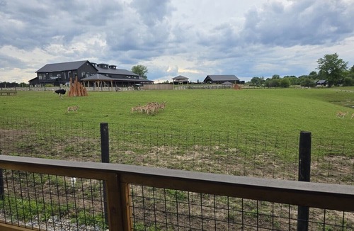 Town of Sullivan RV Rental | Blesbok Luxury Tent 8