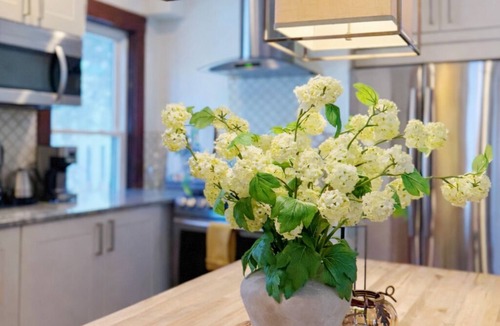 Porter Square Apartment | Boutique Porter Square home/1 stop from Harvard