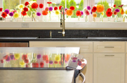 Burlington House | Bright, modern, spacious south end 5-bedroom home