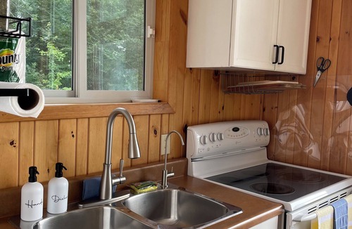 Hastings Highlands Cottage | Bright Viceroy Cottage | Shallow Entry Beach & Stunning Baptiste Lake Views