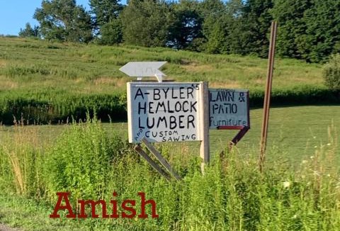 Brocton Other | Bring Your Own Tent or RV with hostel cabin access