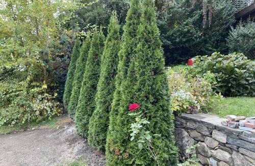 Cos Cob House | California guest house