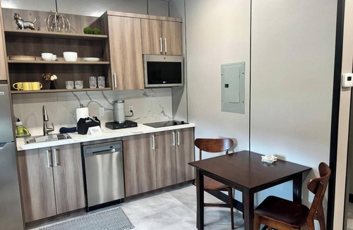 Binghamton Apartment | Cedar Loft 1BR - Steps to BU