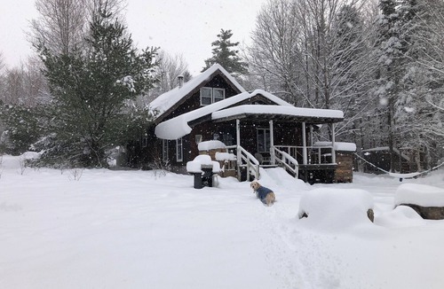 Jamaica Ski Chalet | Chalet-Swim-Brook on Property-Views-Firepit-Woodstove-7 min to Stratton-Dogs OK
