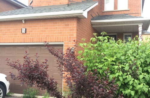 Vaughan House | Charming 1-bedroom in a house in Vaughan with AC