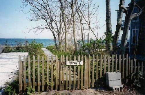 Commercial Street House | Charming 1800's home with large rooms, steps from beach HUGE yard and parking