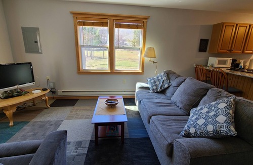 Port Allegany Cabin | Charming 2-bedroom, 1 bath cabin along a stocked trout stream in God's Country!
