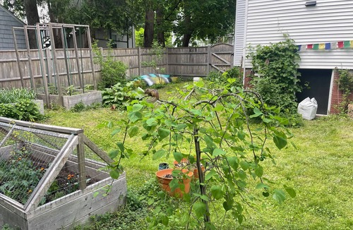 Westbrook House | Charming Portland Area Home - Pet Friendly, Fenced Yard, EV + Parking