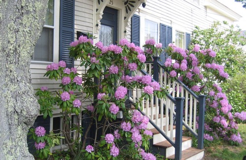 Provincetown House | Charming, Private, 1600SF 1860s West End Provincetown House and Garden
