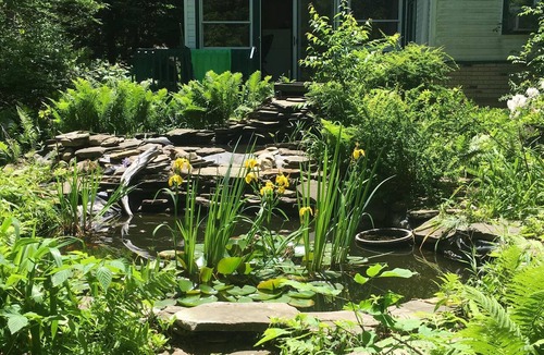 Lake Erie Beach House | Close to Buffalo and Dog Friendly!