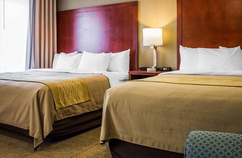 Guilford Hotel | Comfort Inn Guilford near I-95