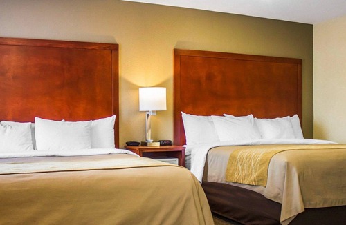 Guilford Hotel | Comfort Inn Guilford near I-95