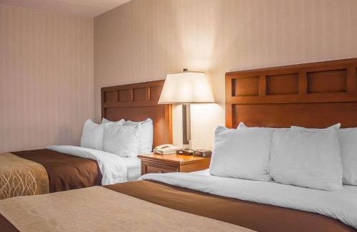 Wethersfield Hotel | Comfort Inn Wethersfield - Hartford