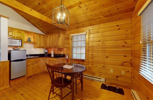 Northport Cabin | Comfortable dog-friendly cabin with fireplace & kitchenette near hiking trails