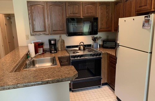 West Dover Condo | Comfortable, Redecorated Condo at Mount Snow; free shuttle
