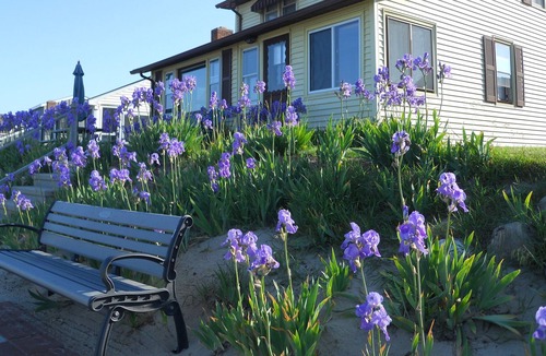 Middlesex County Cottage | Cornfield Point Beachfront Cottage