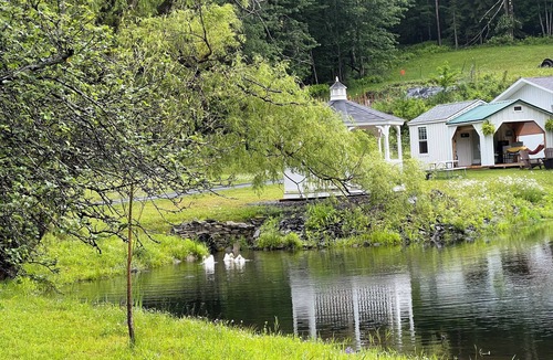 Meredith Cabin | Cozy “bed in a shed” cabin with WiFi and AC in charming East Meredith