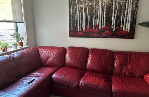 Central Park North Apartment | Cozy Bedroom in 3 Bedroom apartment in amazing New York with Elevator